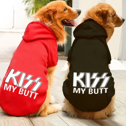 Snuggle Season: 3 Cozy Dog Outfits Your Pup Will Thank You For
