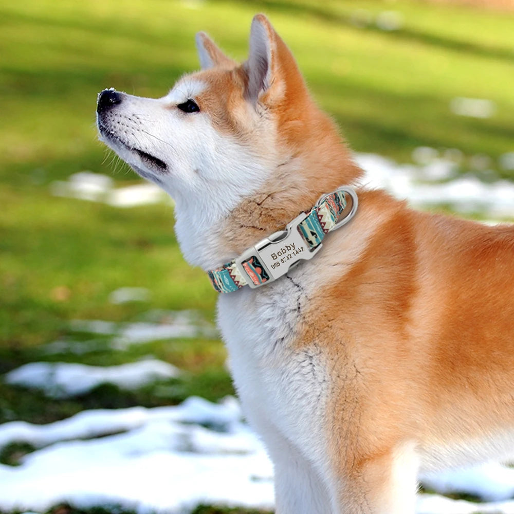Personalized Nylon Dog or Cat Collar with Engraved ID – Adjustable Anti-Lost Nameplate for Small, Medium & Large Dogs Ditzy Petunia