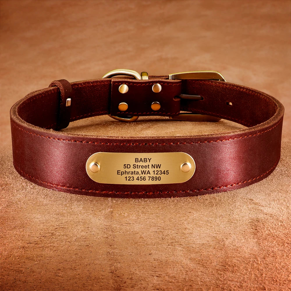 Personalized Genuine Leather Dog Collar & Leash Set – Adjustable & Durable for Small to Large Breeds