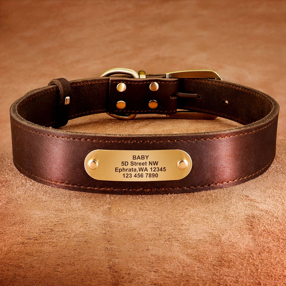 Personalized Genuine Leather Dog Collar & Leash Set – Adjustable & Durable for Small to Large Breeds