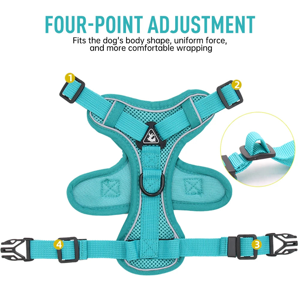 Reflective Padded Cat Harness with Ribbon Detail & Leash – Adjustable & Comfortable Nylon Vest for Cats