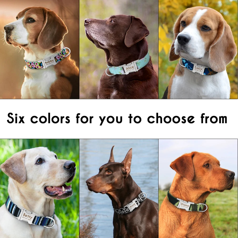 Personalized Nylon Dog or Cat Collar with Engraved ID – Adjustable Anti-Lost Nameplate for Small, Medium & Large Dogs Ditzy Petunia