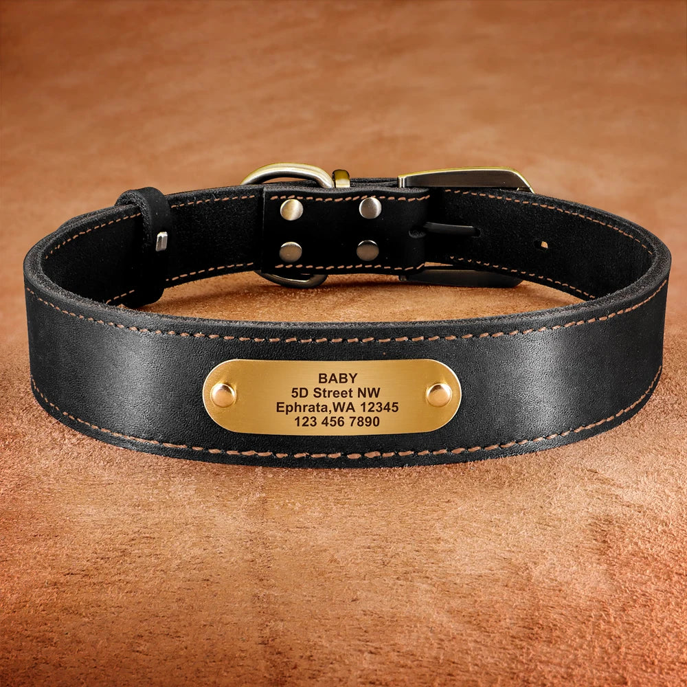 Personalized Genuine Leather Dog Collar & Leash Set – Adjustable & Durable for Small to Large Breeds