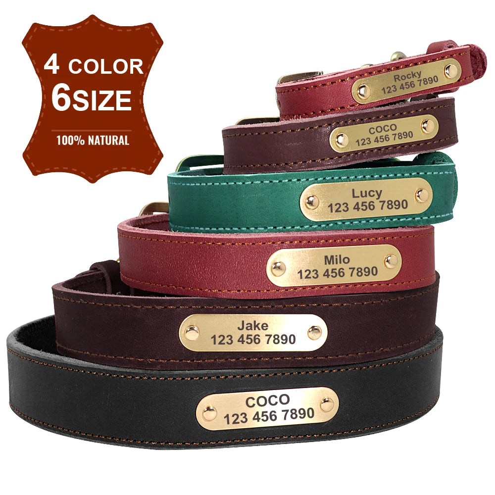 Personalized Genuine Leather Dog Collar & Leash Set – Adjustable & Durable for Small to Large Breeds