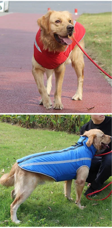 Waterproof Winter Dog Clothes for Large Dogs | Warm Big Dog Jackets | Padded Fleece Pet Coat with Safety Reflective Design | Durable Dog Clothing Ditzy Petunia