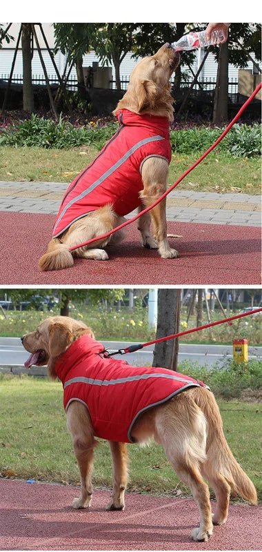 Waterproof Winter Dog Clothes for Large Dogs | Warm Big Dog Jackets | Padded Fleece Pet Coat with Safety Reflective Design | Durable Dog Clothing Ditzy Petunia