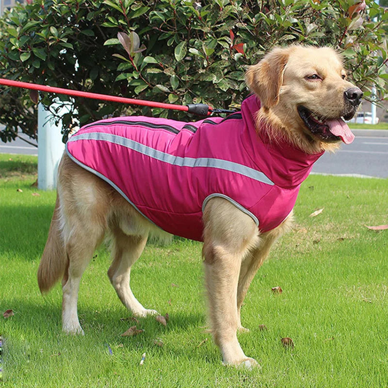 Waterproof Winter Dog Clothes for Large Dogs | Warm Big Dog Jackets | Padded Fleece Pet Coat with Safety Reflective Design | Durable Dog Clothing Ditzy Petunia