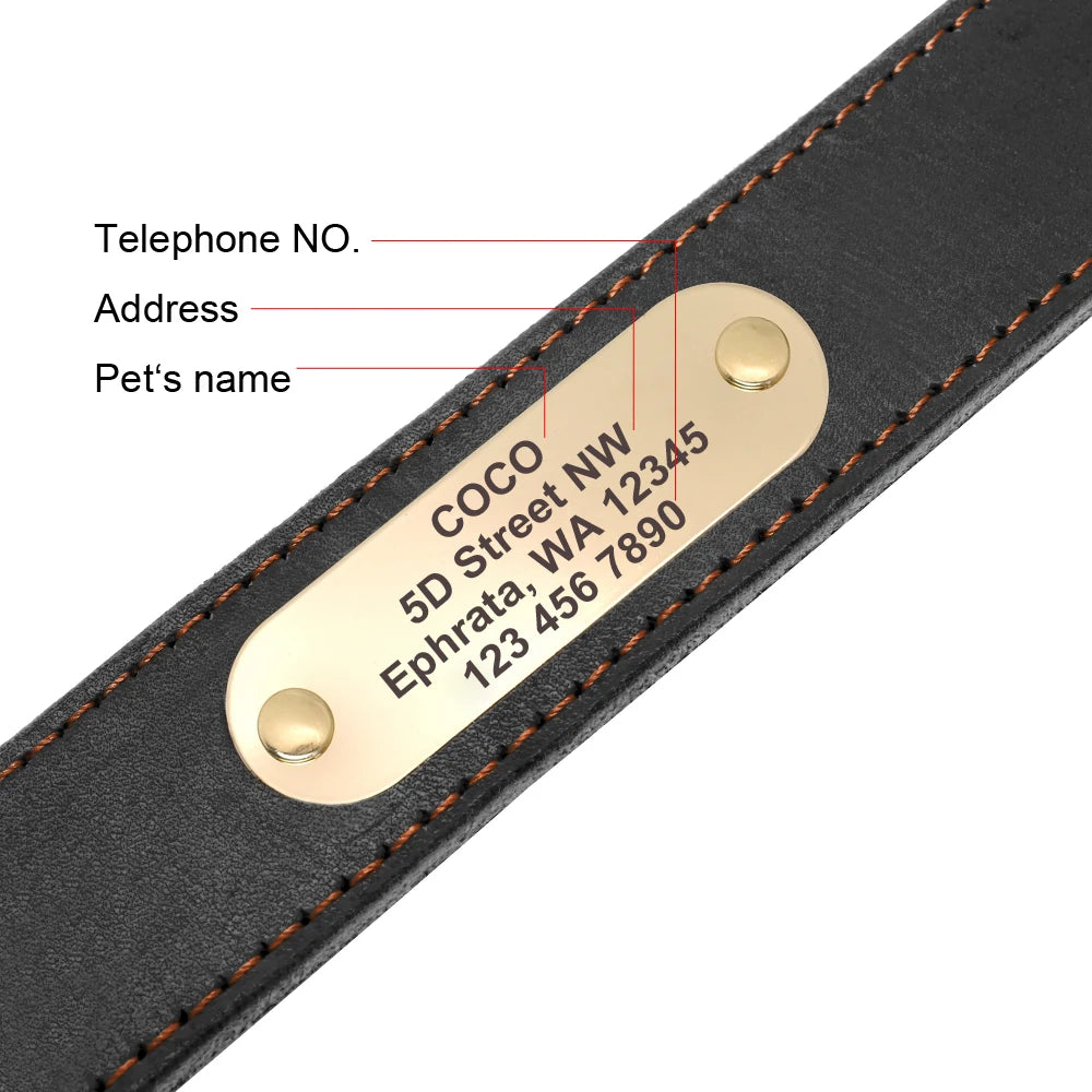 Personalized Genuine Leather Dog Collar & Leash Set – Adjustable & Durable for Small to Large Breeds