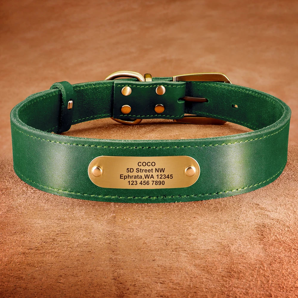 Personalized Genuine Leather Dog Collar & Leash Set – Adjustable & Durable for Small to Large Breeds