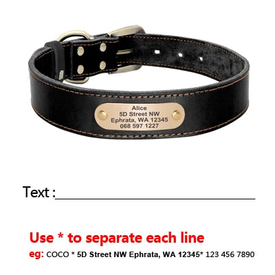 Personalized Genuine Leather Dog Collar & Leash Set – Adjustable & Durable for Small to Large Breeds