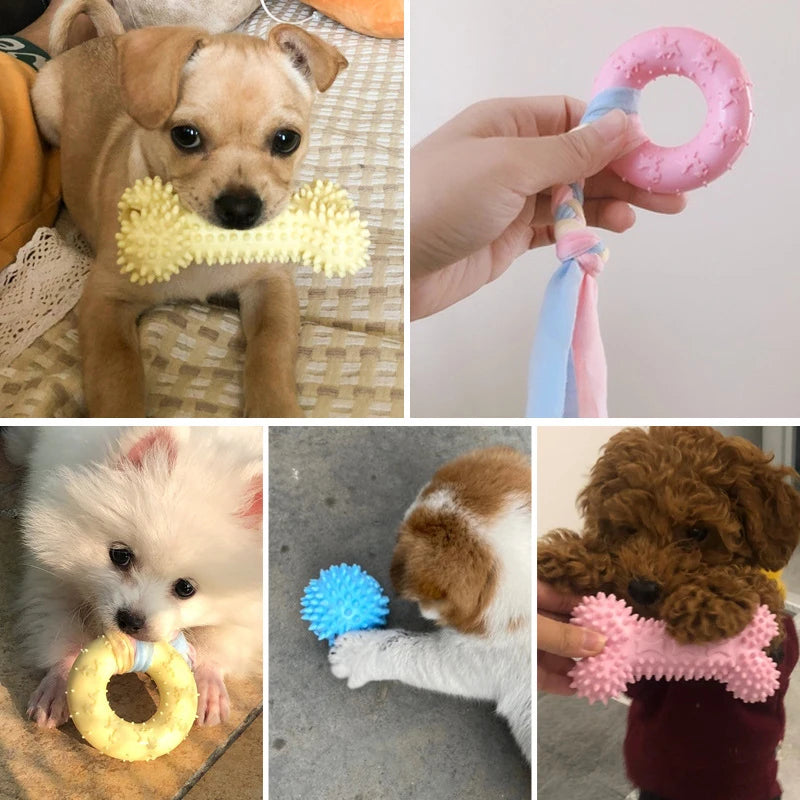 Durable Rubber Chew Toys for Dogs - Non-Toxic & Teeth Cleaning | Pink, Blue, Yellow Ditzy Petunia