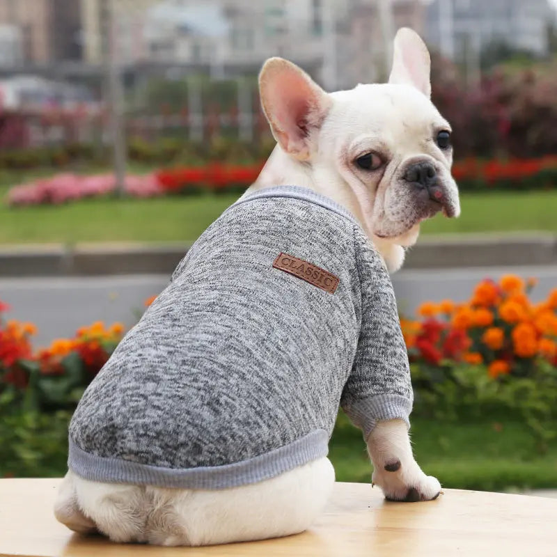 🐶 Cozy Autumn Dog Sweatshirt – Warm Pet Jacket for Small & Medium Dogs