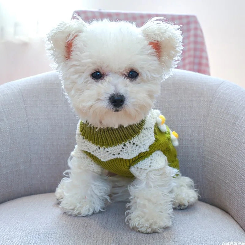 Durable Wool Dog Sweater – Fall & Winter Warmth for Small & Medium Dogs