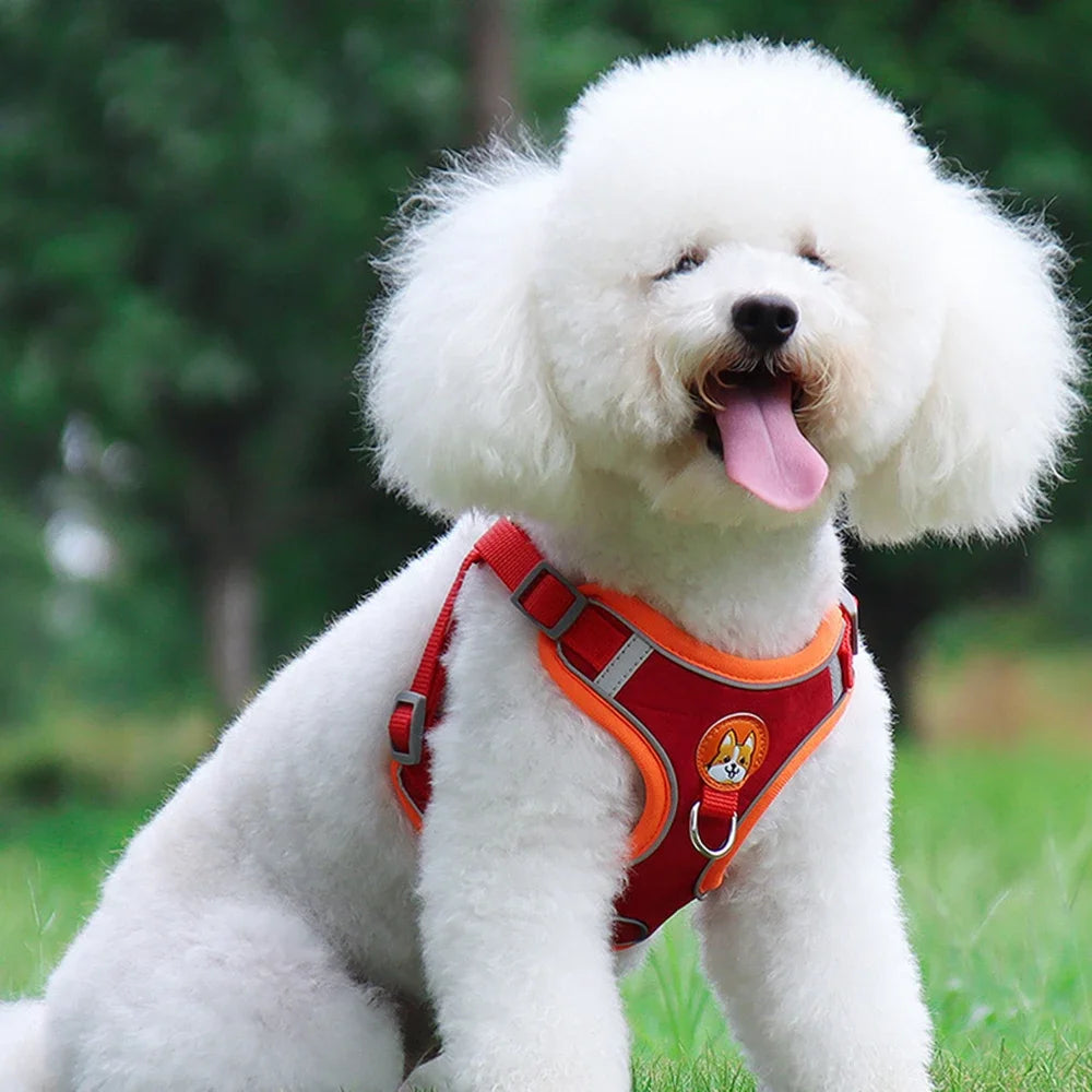 Adjustable Dog Harness & Leash Set | Reflective Anti-Pull Vest for Small & Medium Dogs | Safe, Durable, and Breathable Ditzy Petunia