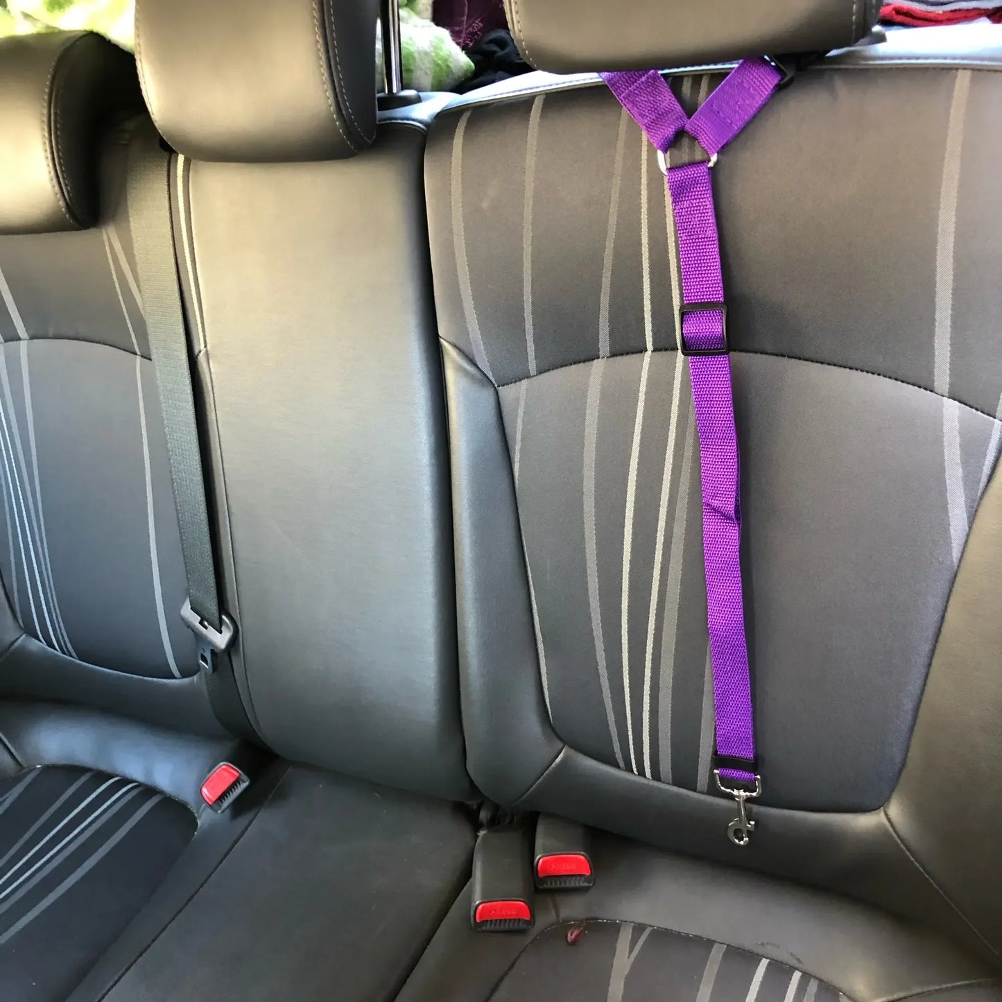 Adjustable Pet Car Seat Belt Leash - Durable Safety Harness for Dogs and Cats Ditzy Petunia