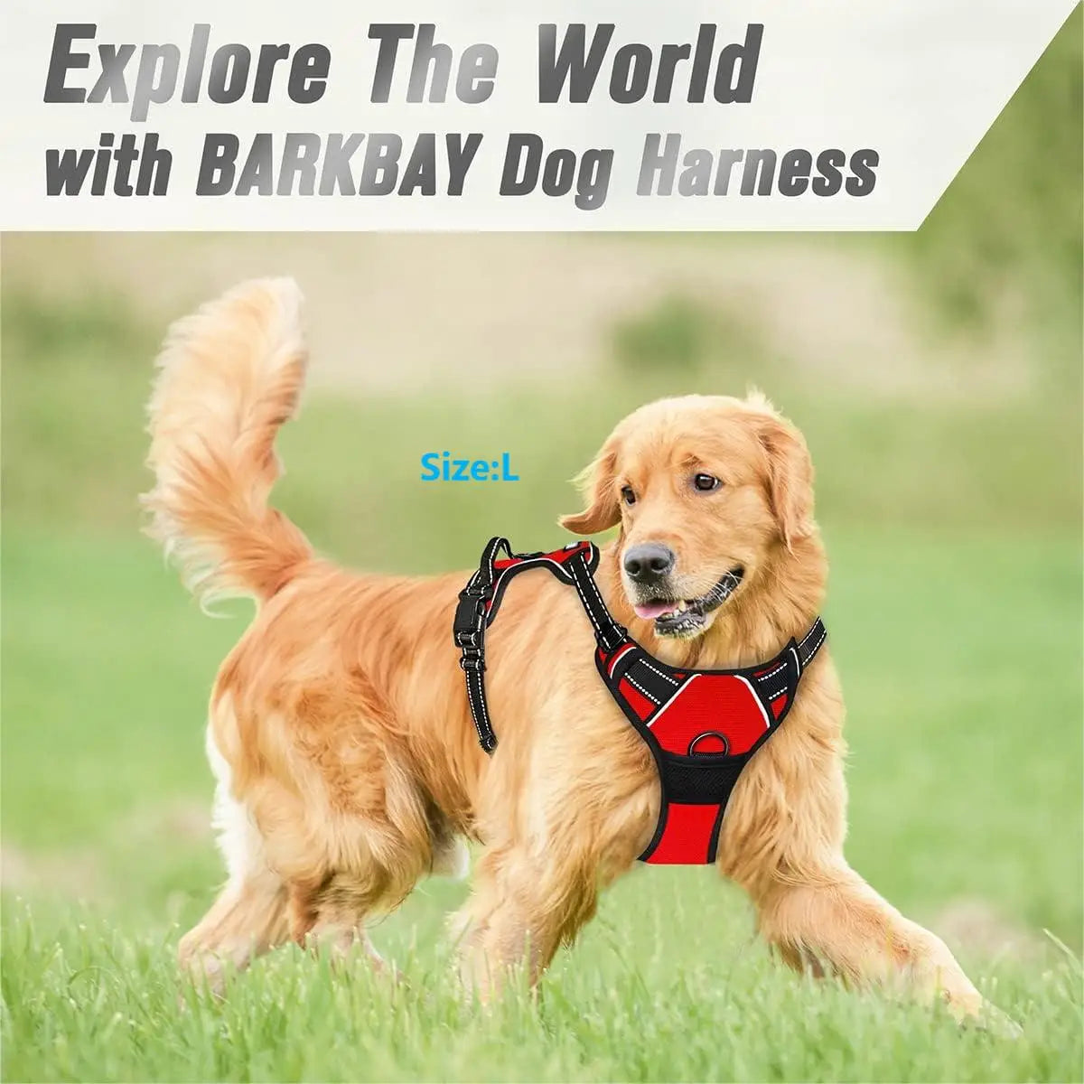 Reflective Vest Dog Harness - Adjustable Comfortable No Pull Harness for All Dog Sizes Ditzy Petunia
