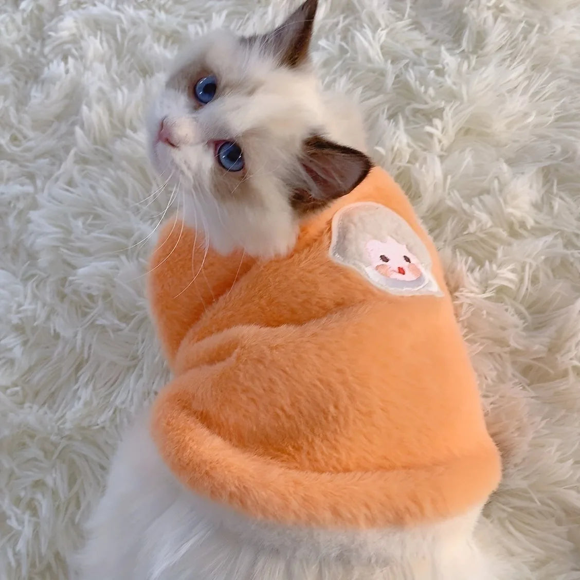 Fashion Cat Vest for Autumn & Winter – Solid Color Warm Kitten & Small Dog Sweater, Cozy Pet Clothes