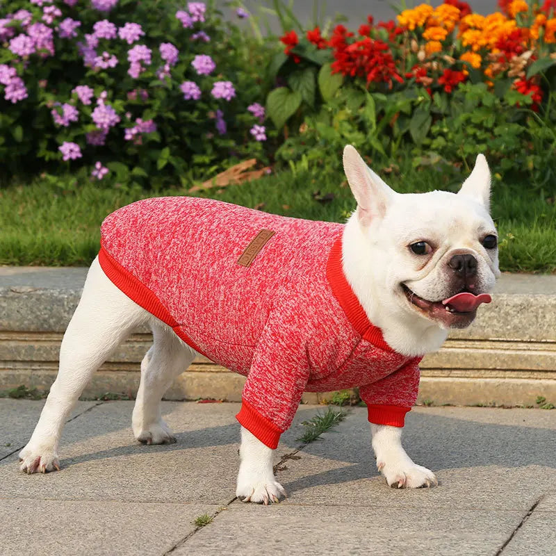 🐶 Cozy Autumn Dog Sweatshirt – Warm Pet Jacket for Small & Medium Dogs