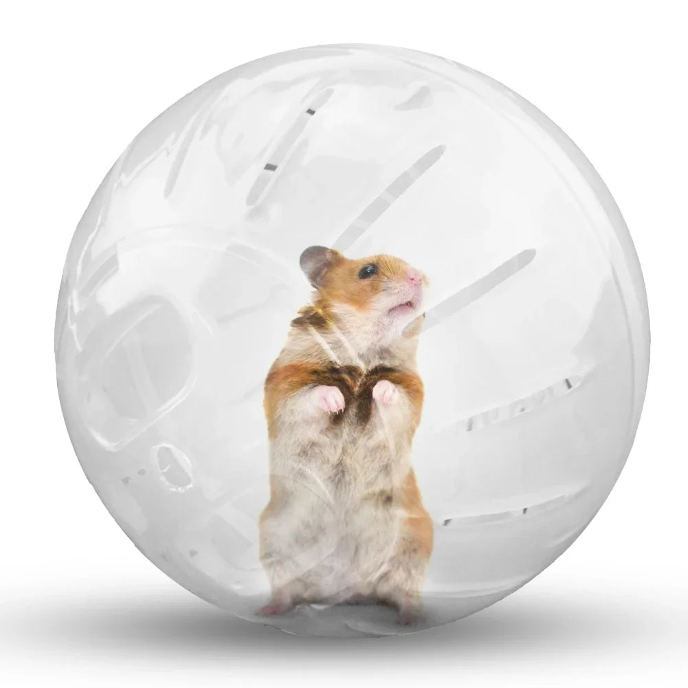 Plastic Rodent Mini Jogging Ball – Hamster, Gerbil & Mouse Exercise Toy