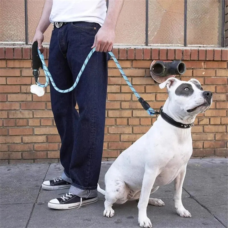 Heavy-Duty Reflective Nylon Dog Leash – 150cm / 200cm / 300cm