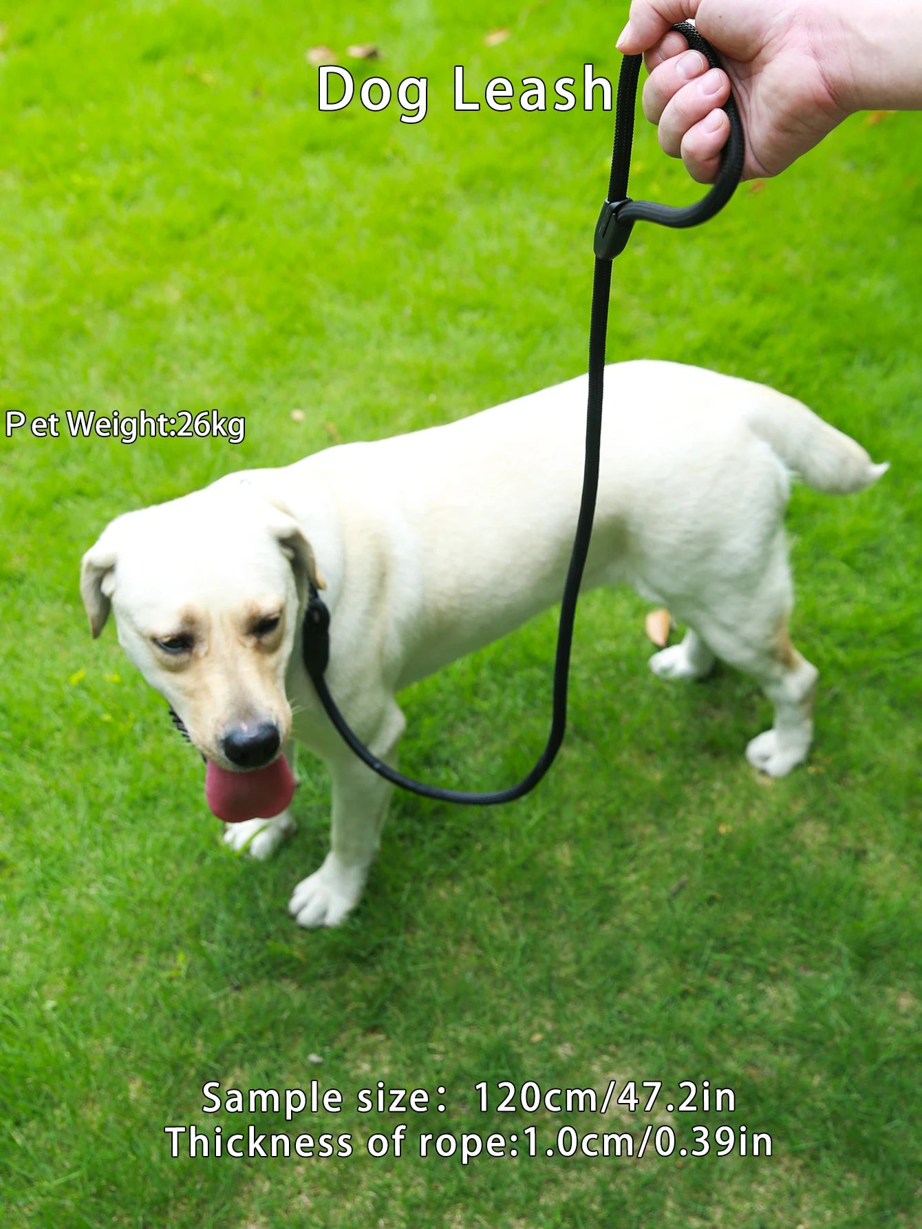 Reflective Heavy-Duty Dog Leash – Durable Climbing Rope Lead for Small, Medium & Large Dogs
