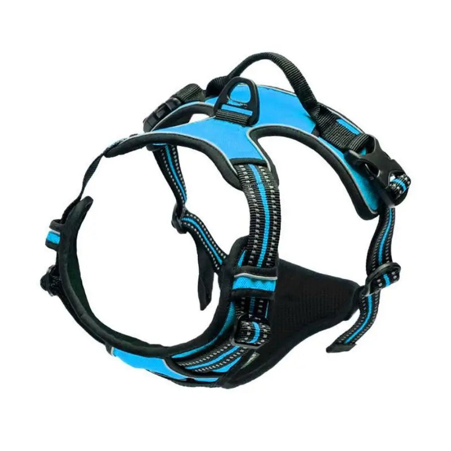 Reflective Vest Dog Harness - Adjustable Comfortable No Pull Harness for All Dog Sizes Ditzy Petunia