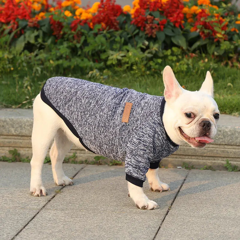 🐶 Cozy Autumn Dog Sweatshirt – Warm Pet Jacket for Small & Medium Dogs