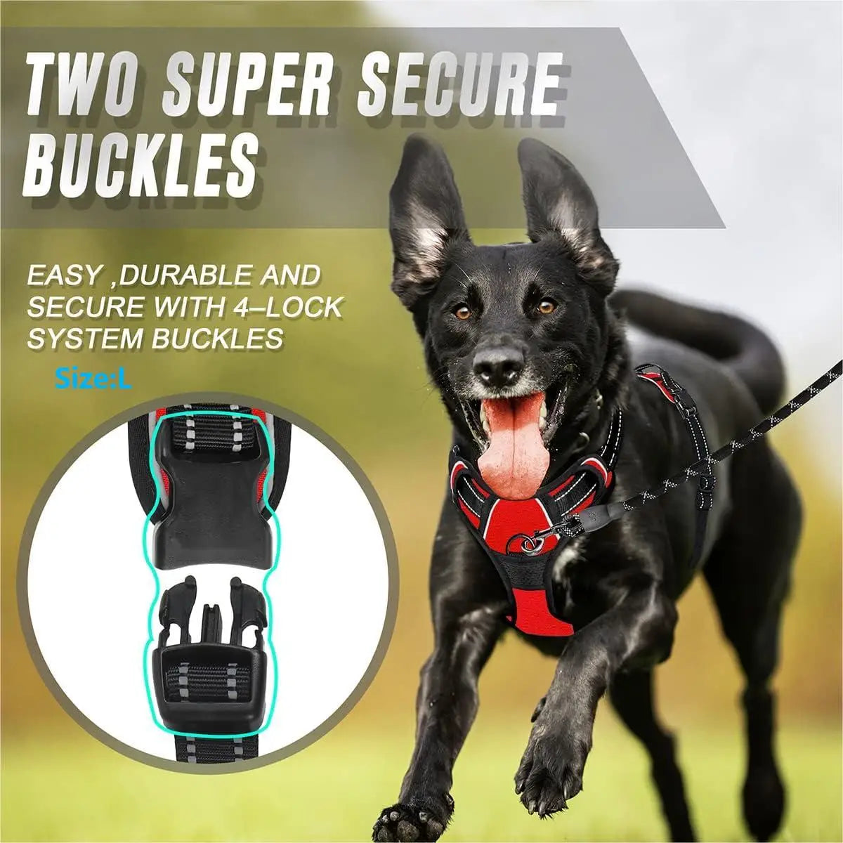 Reflective Vest Dog Harness - Adjustable Comfortable No Pull Harness for All Dog Sizes Ditzy Petunia
