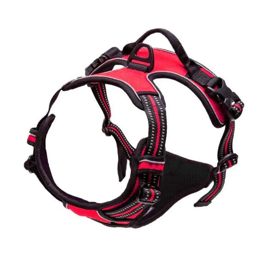 Reflective Vest Dog Harness - Adjustable Comfortable No Pull Harness for All Dog Sizes Ditzy Petunia