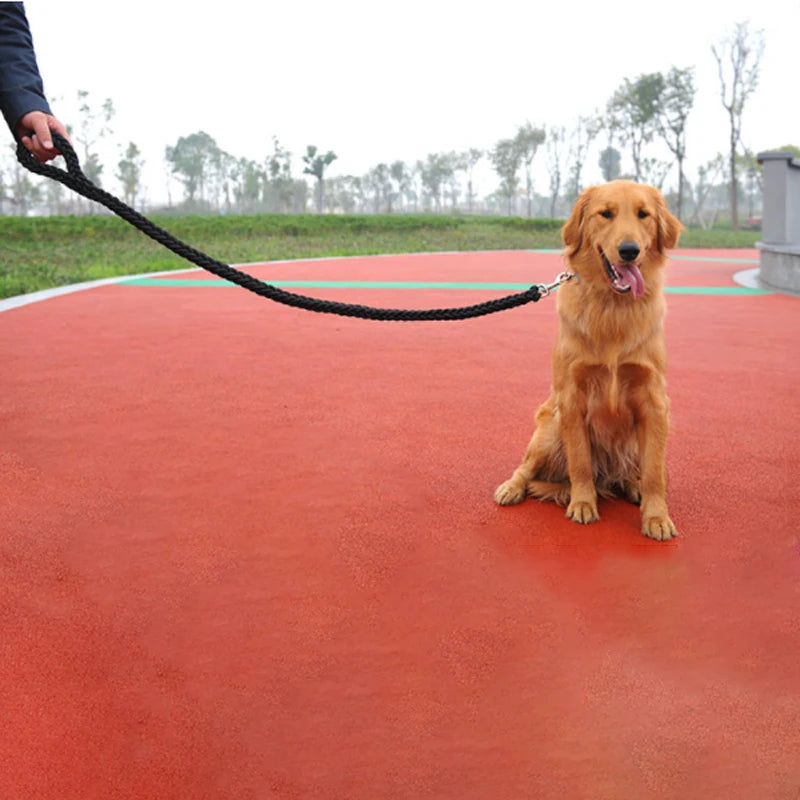 Heavy-Duty Nylon Dog Leash with Quick Release – Durable Rope Lead for Medium & Large Dogs