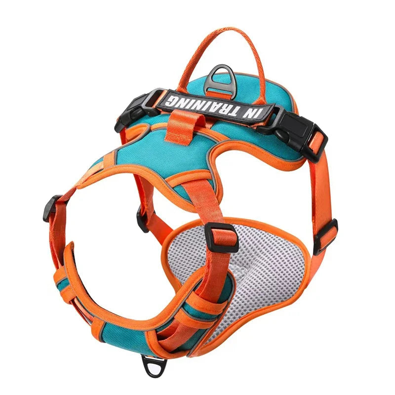 Adjustable Reflective Dog Harness – No-Pull, Breathable, Personalized