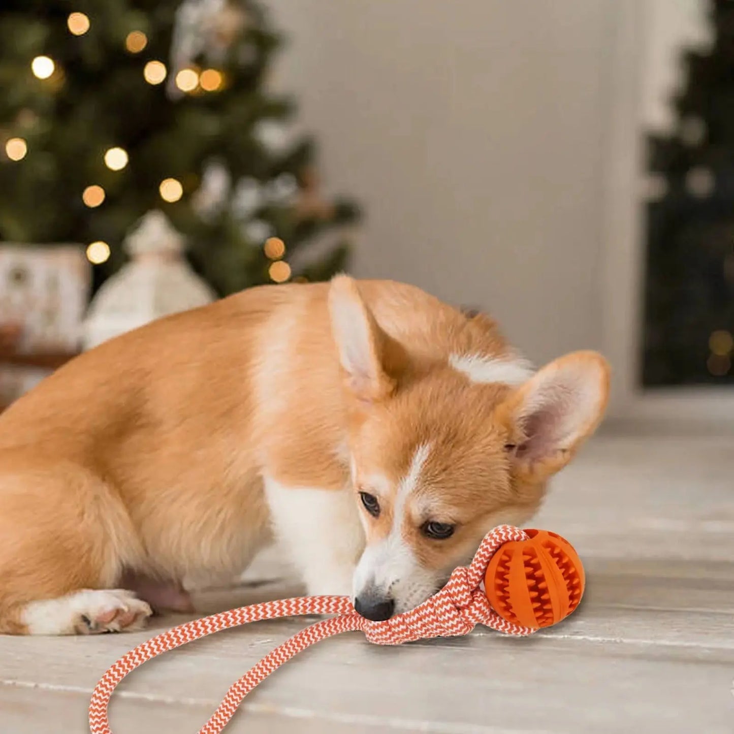 Pet Chew & Treat Ball – Rubber Rope Toy for Dental Cleaning, Tug Play, and IQ Training
