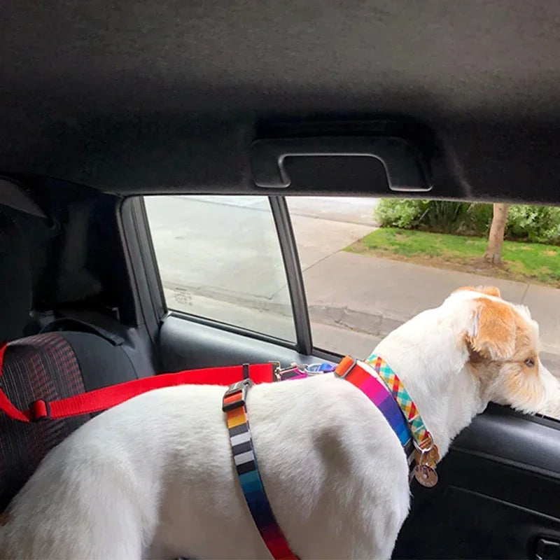 Adjustable Pet Car Seat Belt Leash - Durable Safety Harness for Dogs and Cats Ditzy Petunia