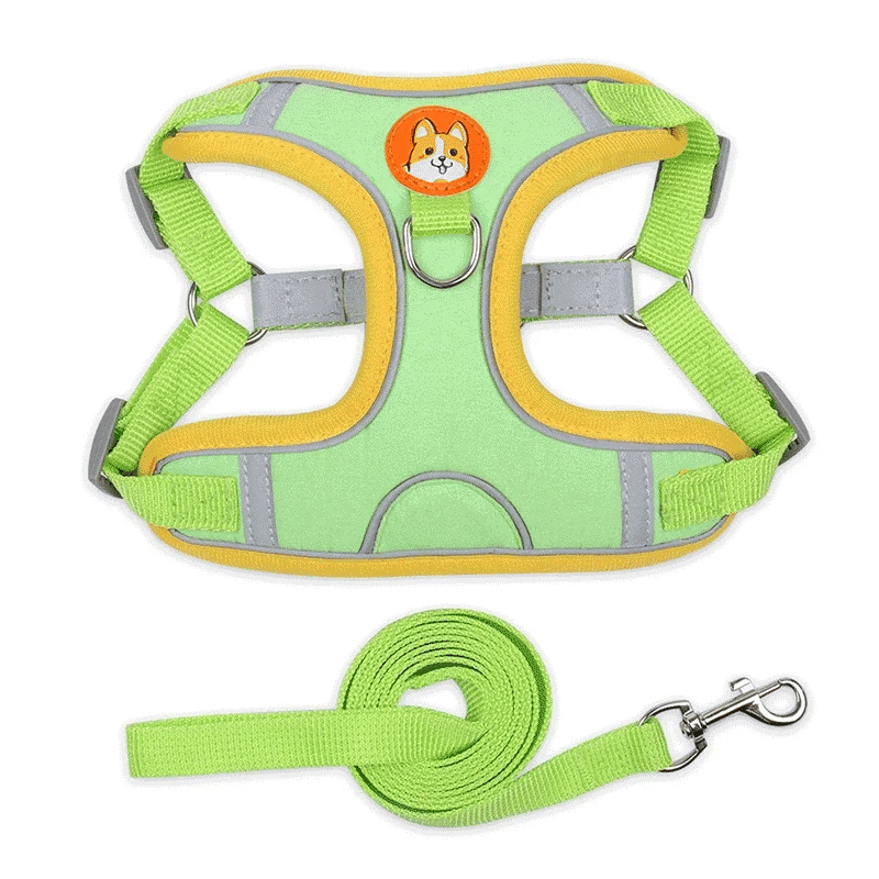 Adjustable Dog Harness & Leash Set | Reflective Anti-Pull Vest for Small & Medium Dogs | Safe, Durable, and Breathable Ditzy Petunia