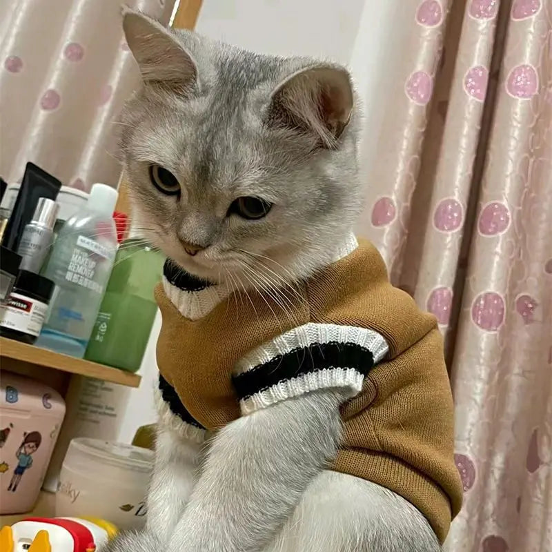 πΆ Cozy Knitted Dog Sweater β Soft & Stylish Winter Pet Outfit
