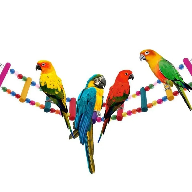 Bird Toy Set – Swing, Chew, and Training Toys for Small Parrots