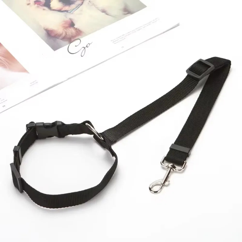 Adjustable Pet Car Seat Belt Leash - Durable Safety Harness for Dogs and Cats Ditzy Petunia