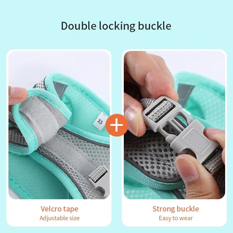Reflective Dog Harness and Leash Set - Soft, Comfortable, Breakaway Design for Safe Walks Ditzy Petunia