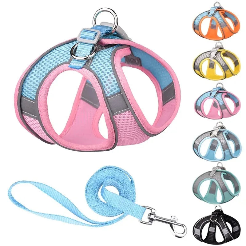 Reflective Dog Harness and Leash Set - Soft, Comfortable, Breakaway Design for Safe Walks Ditzy Petunia