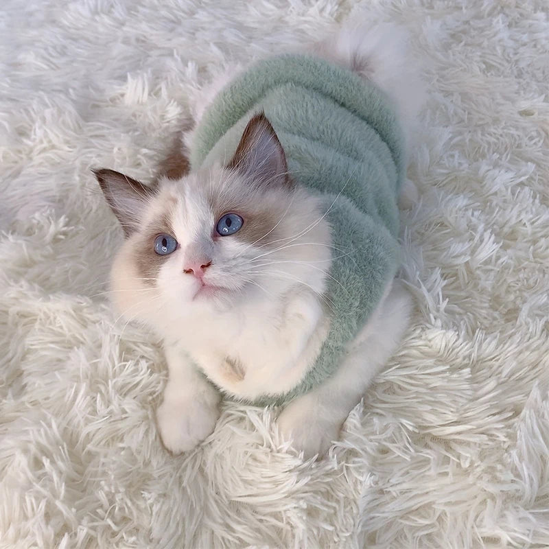 Fashion Cat Vest for Autumn & Winter – Solid Color Warm Kitten & Small Dog Sweater, Cozy Pet Clothes