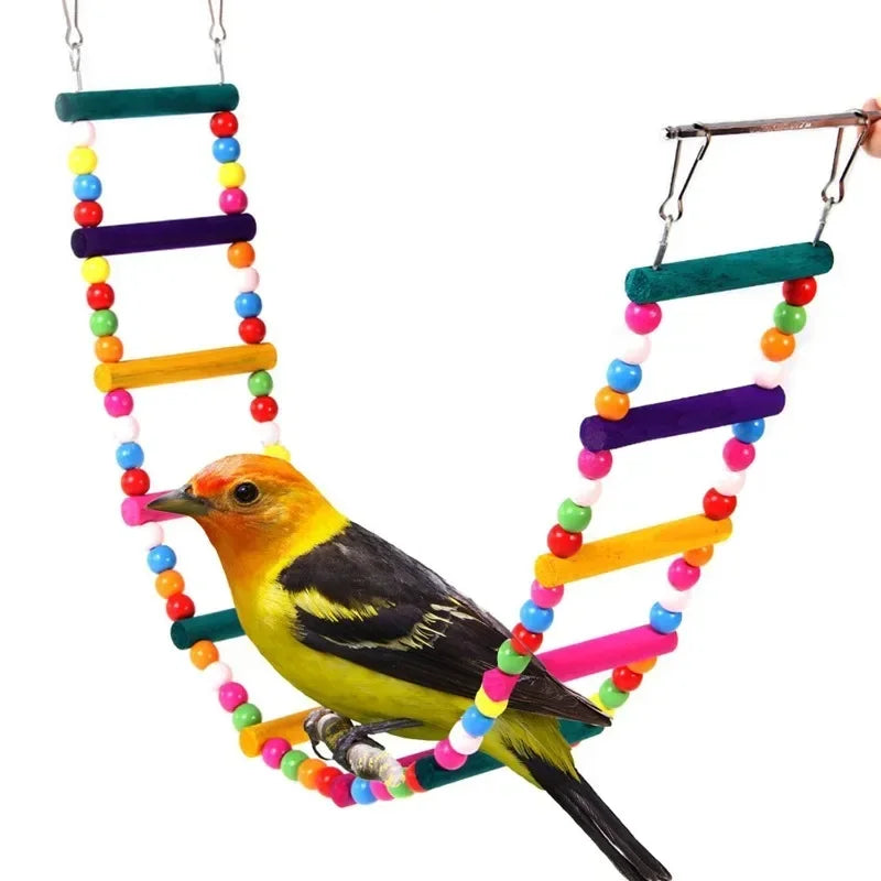 Bird Toy Set – Swing, Chew, and Training Toys for Small Parrots