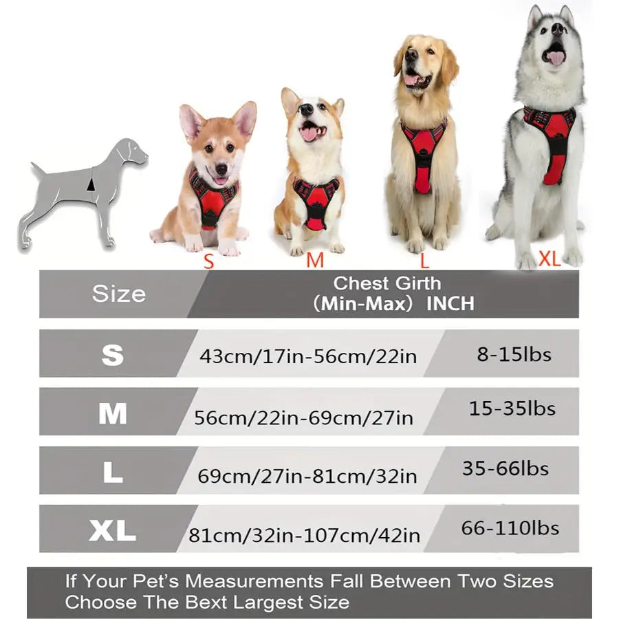 Reflective Vest Dog Harness - Adjustable Comfortable No Pull Harness for All Dog Sizes Ditzy Petunia