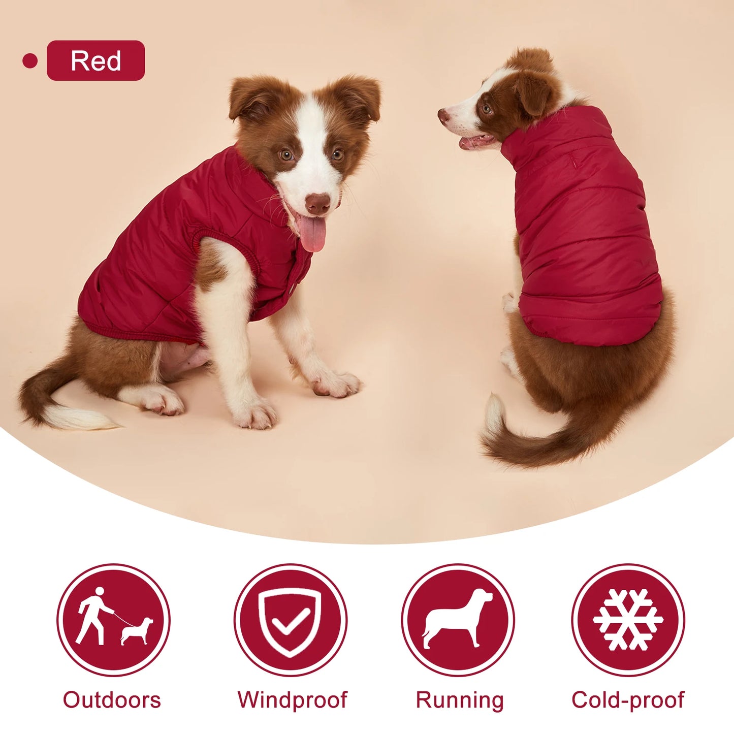 πΎ Winter Cotton-Padded Dog Vest β Cozy Fleece-Lined Jacket for All Breeds