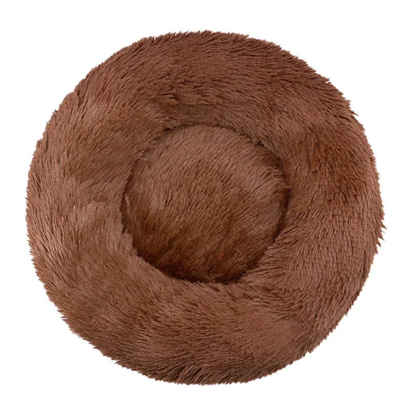 Eco-Friendly Plush Pet Bed with Non-Slip Bottom – Soft & Comfortable Dog and Cat Bed (Machine Washable) Ditzy Petunia