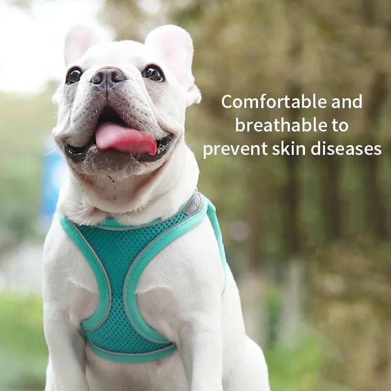 Reflective Dog Harness and Leash Set - Soft, Comfortable, Breakaway Design for Safe Walks Ditzy Petunia