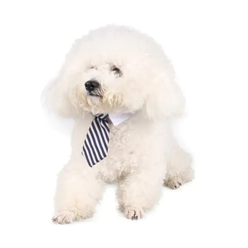 Adjustable Pet Bow Tie Necktie for Small Dogs and Cats - Formal Puppy Grooming Collar
