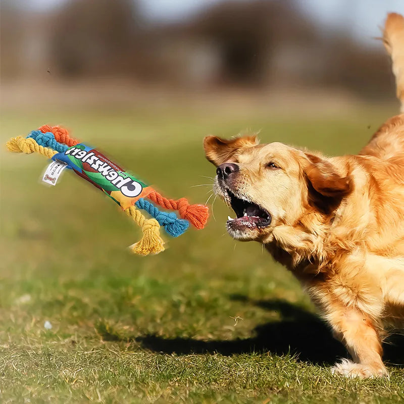 Durable Chew Toy for Dogs – Eco-Friendly Paper Material
