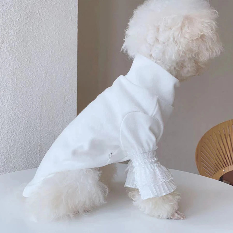 Winter Cat & Dog Clothes – Warm Lace Pet Clothing for Small Dogs & Yorkies