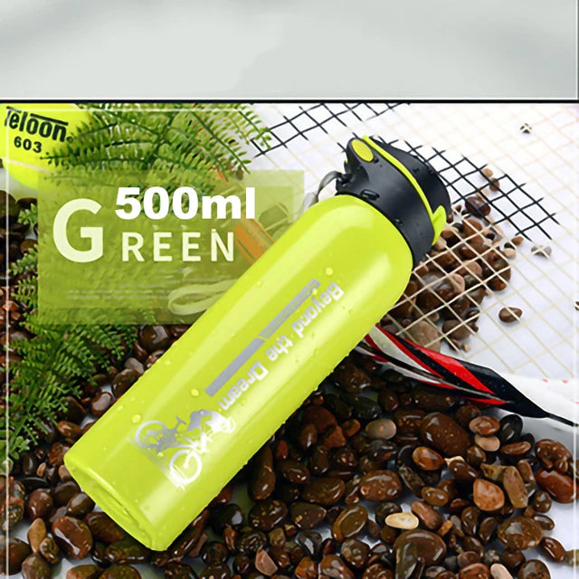 500ML Stainless Steel Bike Water Bottle – Hot & Cold, One-Push Open, Sweat-Proof & BPA-Free Ditzy Petunia