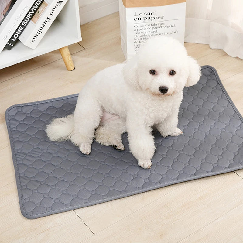 Washable and Reusable Dog Bed Mat – Waterproof, Anti-Slip, Multi-Layer Absorbent Pad